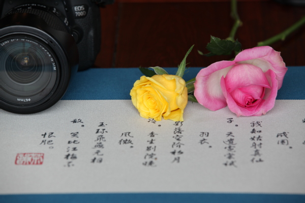 花.影.诗-国有资产与实验室管理处 王绍兰