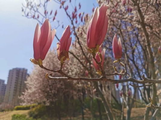 新生-理学院 张立红