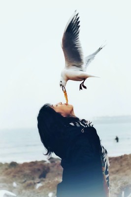 和谐-图书馆 李小平